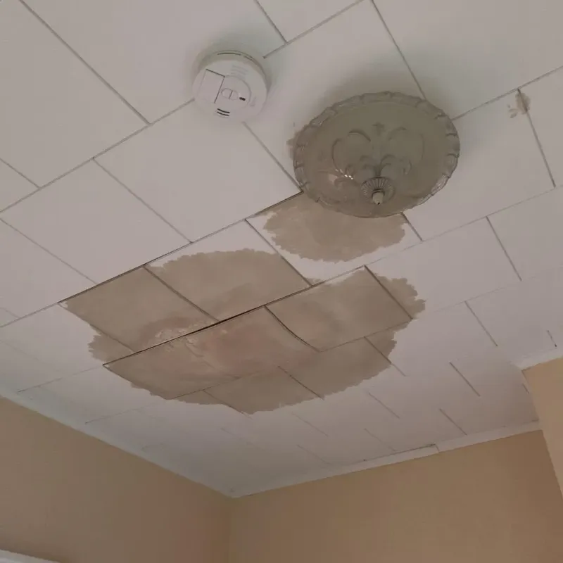 Ceiling Water Damage Repair in Natalia, TX