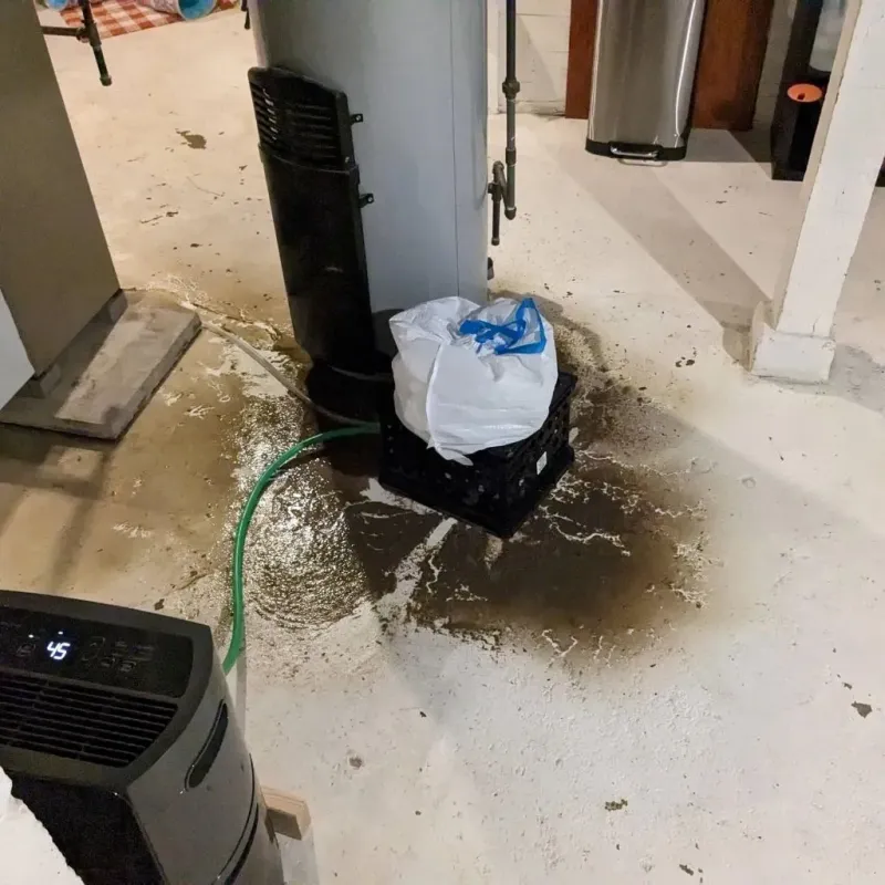 Sewage Backup Cleanup Service in Natalia, TX